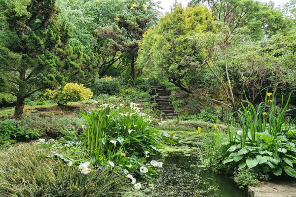 highdown garden windsor hotel